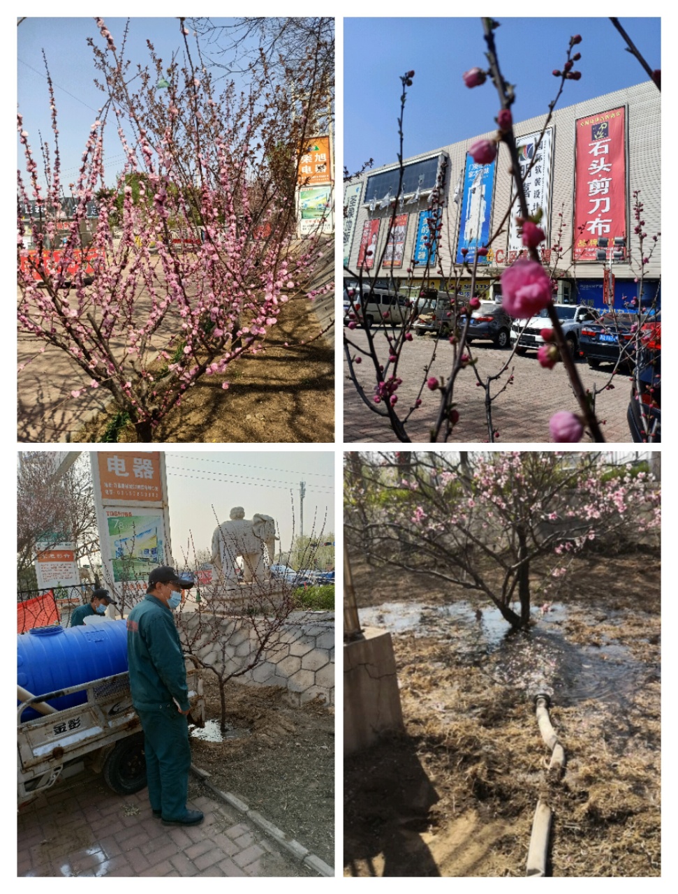 图1.jpg